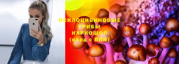круглые Алексеевка