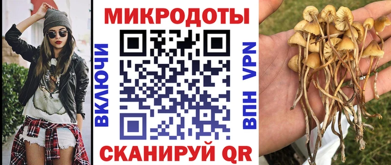 Галлюциногенные грибы Psilocybine cubensis  хочу наркоту  Белоозёрский 